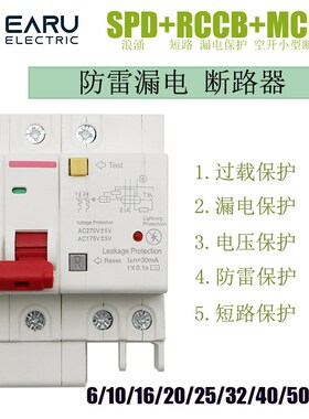 防雷漏电保护器家用空气开关断路器带漏保浪涌保护器 总开关2p63A