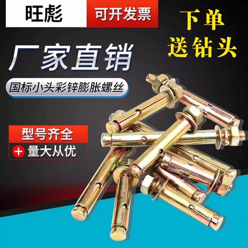 国标彩锌膨胀螺丝拉爆带孔膨胀螺丝镀锌蓬胀螺丝爆炸螺丝M6-M12