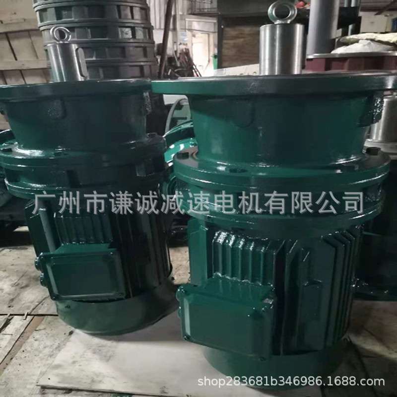 江苏国茂集团立式摆线针轮减速机BLY3/BLY22-17-5.5KW三相电动机