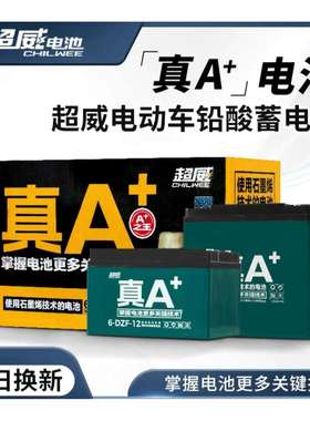 宁波超威电池电瓶堆高机专用电动车黑金48v60v72V12a20a32a以旧换