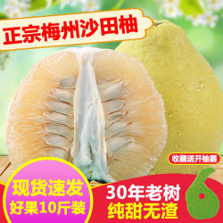 【原产地直发】纯甜柚子广东梅州沙田柚正宗梅县金柚甜心柚非白柚