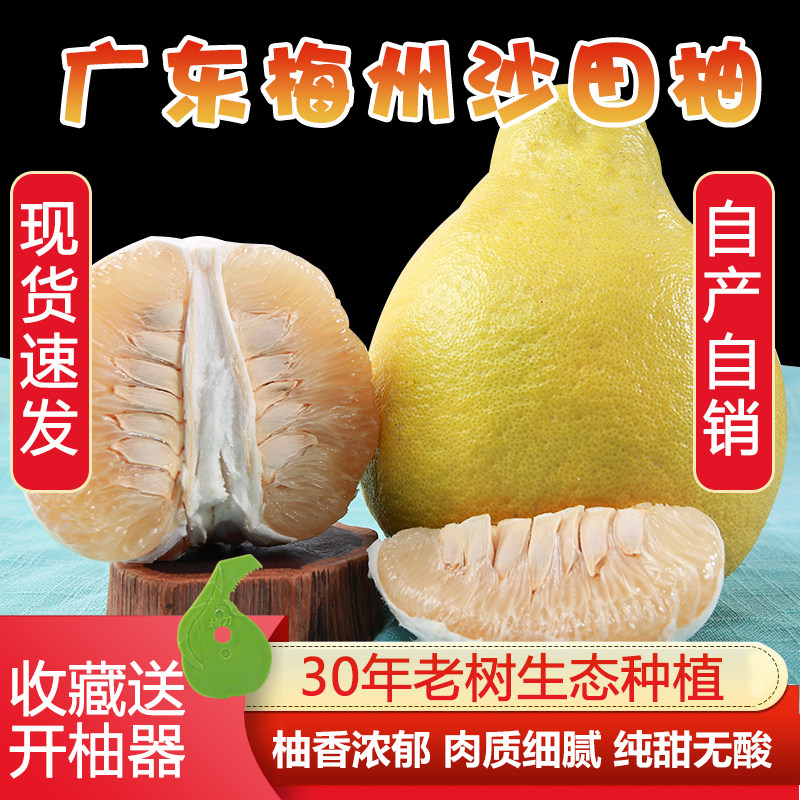 【大中小任选】30年老树正宗梅州沙田柚子甜柚客家特产非白肉蜜柚