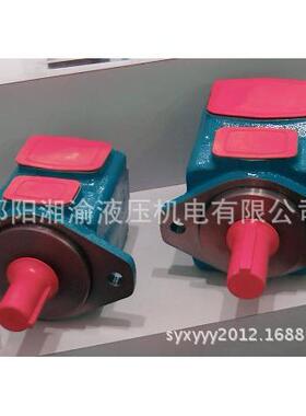 V10 1B2B 38C 20威格士V10 1P3P 1D 20L现货20V9A1B22R