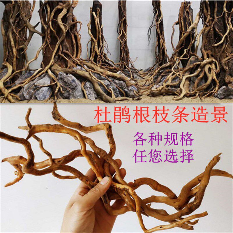 杜鹃根细枝条 须根沉木 水草 微观南美缸虫洞树洞拼接骨架缸造景