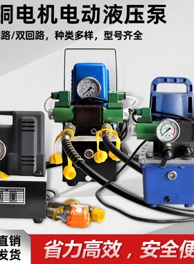 电动液压泵电磁阀泵双回路超高压70MPA 迷你便携小型超高压电动泵