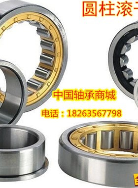 天马TMB轴承N NU NJ1004 1005 1006 1007 1008 1009 1010E EM M