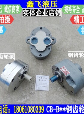 CB-B10/B6/B4/B16/B25/B32/B40/B50/B63/B80/B100/B125钢齿轮油泵