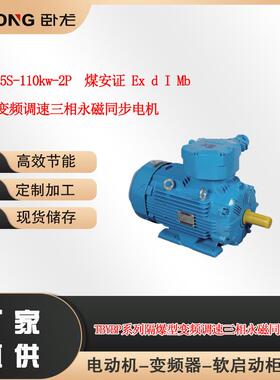 TBYBP-315S-110w-2P煤安证ExdIMb防爆三相永磁同步电机