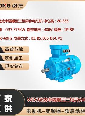 WEX3高效率隔爆型三相异步电动机CUTR认证矿用EAC防爆电机