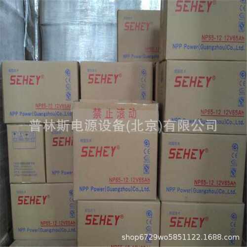 SEHEY西力蓄电池NP65-12 SH65-12 12V65Ah直流屏UPS不间断电源