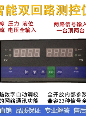 D823智能双回路测控仪温度压力液位显示控制器两路数显报警控制仪