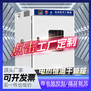 博纬厂家电热恒温鼓风干燥箱小型高温工业用烤箱商用实验室
