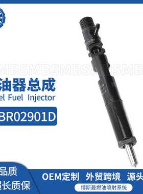 EJBR02901D共轨喷油器总成33800-4X800适用现代 Terracan