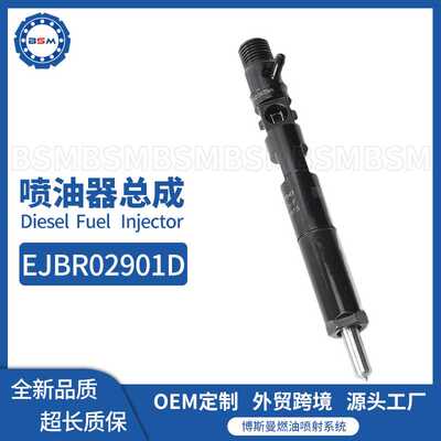 EJBR02901D共轨喷油器总成33800-4X800适用现代 Terracan