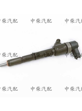 共轨喷油器0445110526/0445110527总成喷油嘴