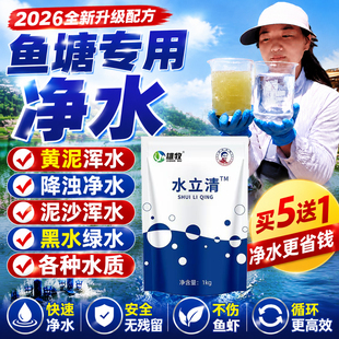 水立清浊水净池塘水质净化净水剂混浑浊污水产鱼塘变清澈养殖专用