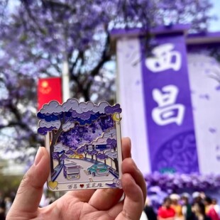 四川西昌文创蓝花楹金属流沙冰箱贴城市旅游纪念家居收藏装饰礼物