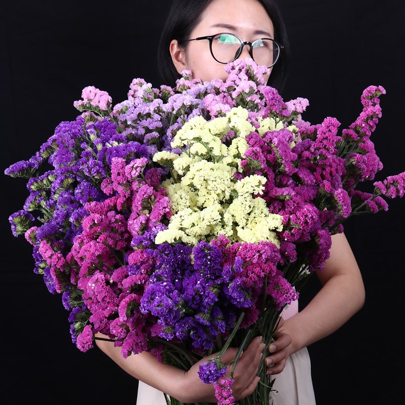 云南勿忘我真花干花花束家居摆设小清新客厅满天星干花论斤卖