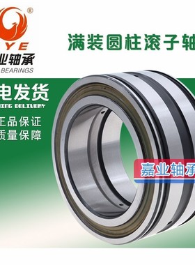 哈尔滨满装圆柱滚子轴承 SL 185004 185005 185006 185007 185008