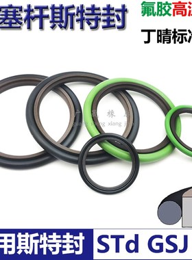 STd轴用斯特封rs 230 245.5 240 255.5 250 265.5*6.3 耐高温腐蚀
