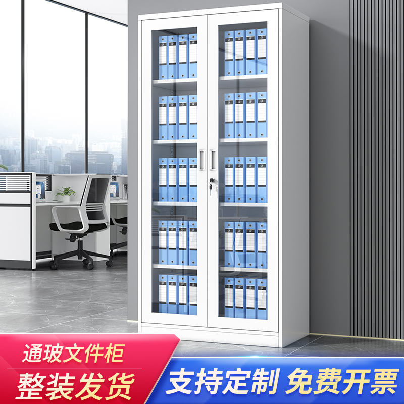 通玻对开文件柜玻璃储物柜会计资料铁皮办公室钢制档案财务凭证柜