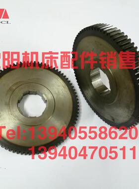 沈阳机床管螺纹车床S1-245B S1-262A齿轮8008 Z80外径184 S1-245A