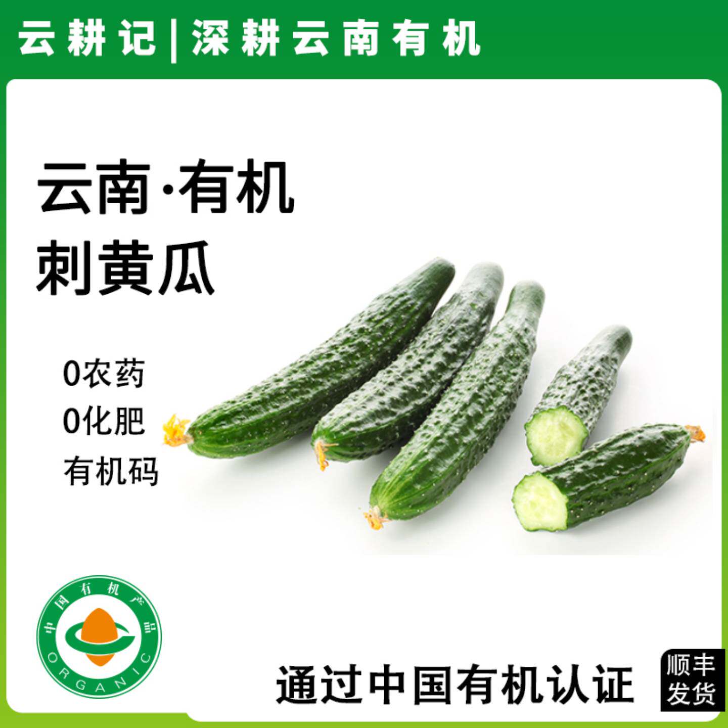 云南有机刺黄瓜新鲜现摘茭瓜榨汁安疗生吃水果沙拉炒菜蔬菜食材