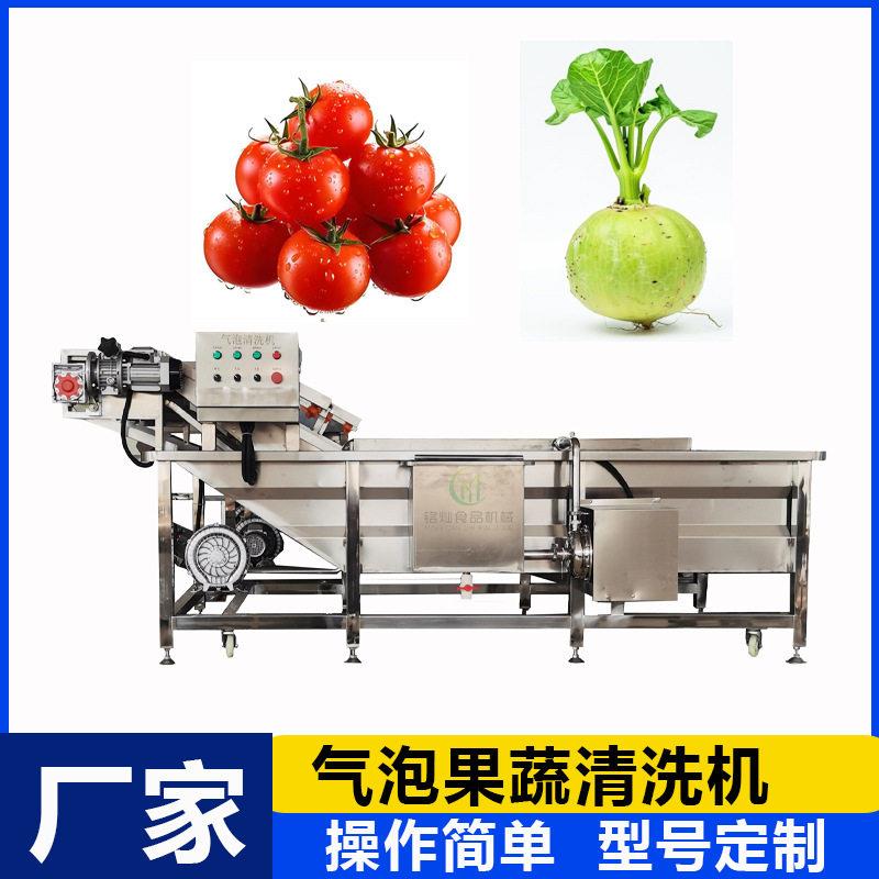 蓝莓清洗机西红柿清洗设备芒果火龙果全自动清洗机果蔬气泡清洗机