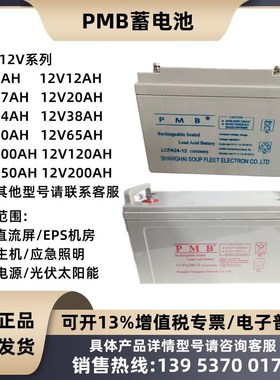 PMB蓄电池LCPA/PC12V7AH12A17A24A33A38A40A65A100A120A150A200AH