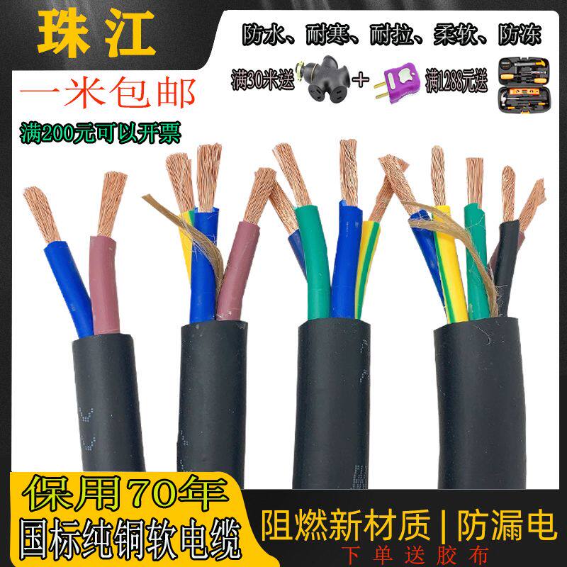 国标纯铜珠江电缆2芯3芯电源线图片