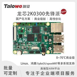 [官方]龙芯2K0300先锋派国产开发板/工控板/评估板LA架构单核鸿蒙