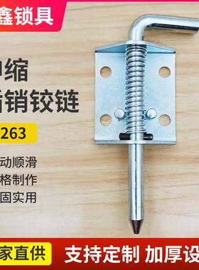CL263工业弹簧插销 开关柜用HL110弹簧插销 拓鑫锁具五金配件