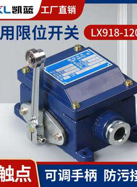 LX918-120重型船用行程开关500V5A树脂防水防腐限位开关手柄可调