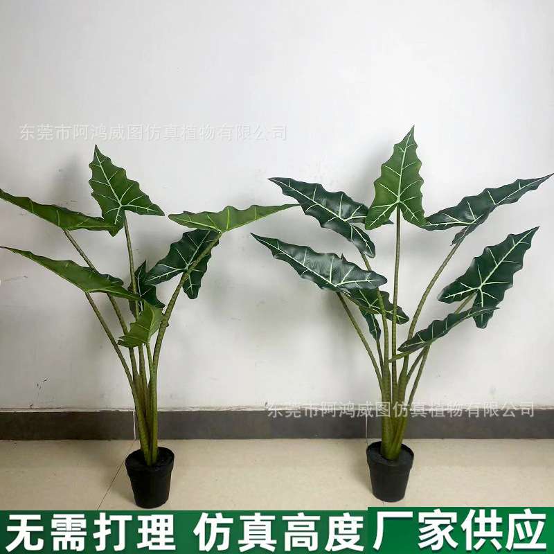 2024新品萨利安海芋绿植大仿真假树装饰仿生植物室内客厅造景摆件