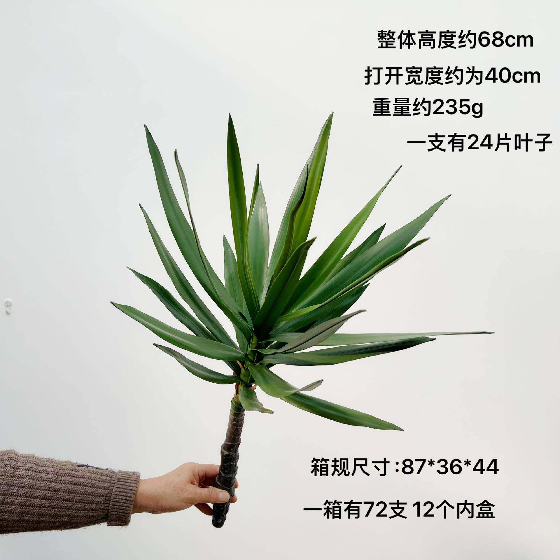 含阳 热带沙漠植物沙生植物造景仿真植物芦荟荷兰铁橱窗绿 枝造景