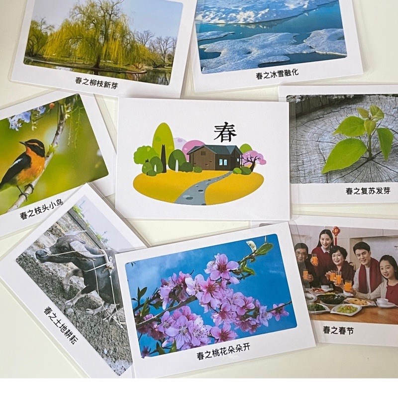 四季季节认知卡片 自闭儿童语言发育迟缓 B康复训练教具