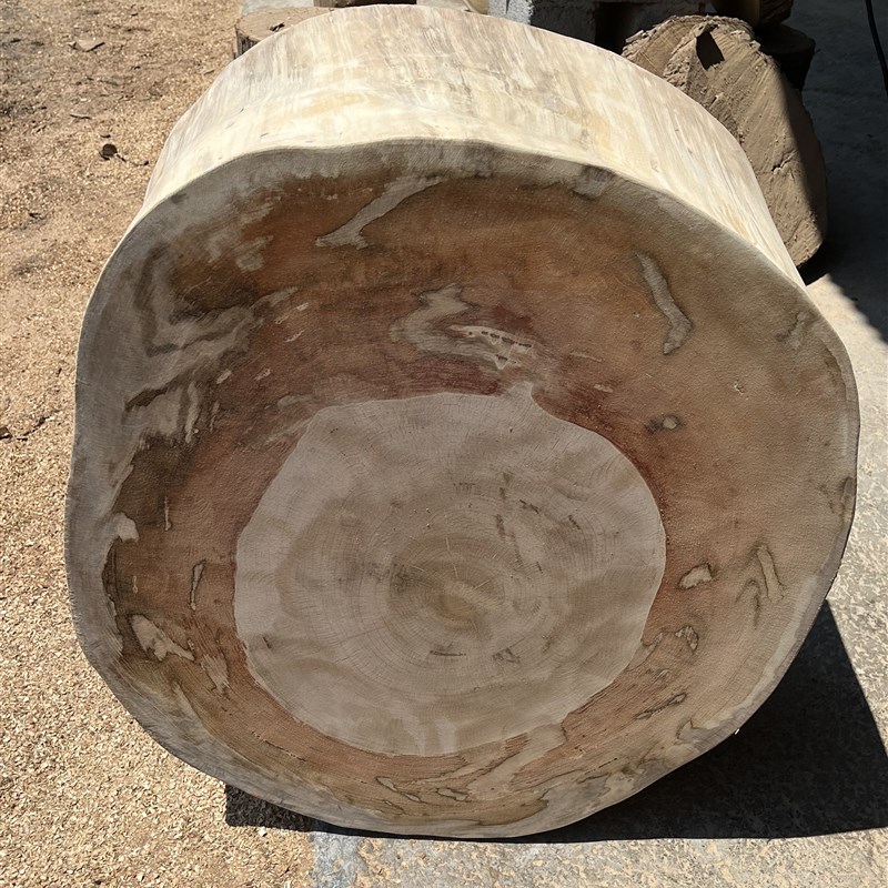 原木大树桩凳子杉木m墩子木桩民宿花架摆件酒店床头柜客厅沙发边