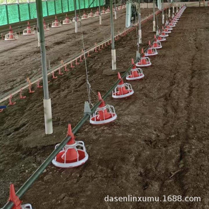 养鸡鸭鹅全自动化喂食器蛟龙机器水线料槽料盘养殖场平养绞龙料线