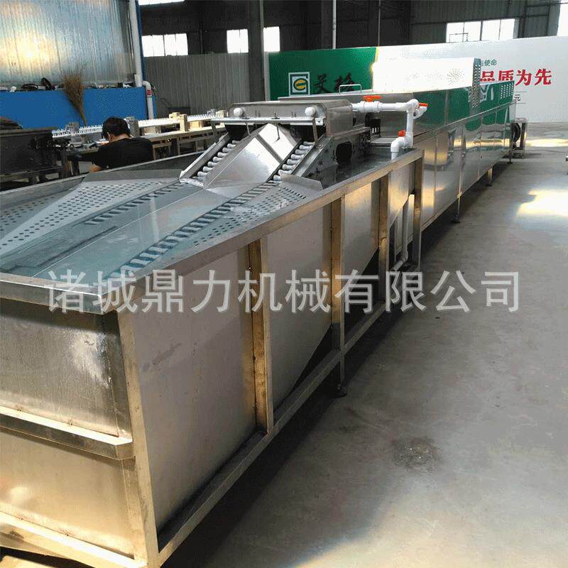 诸城鼎力厂家供应全不锈钢洗盐蛋裹泥蛋全自动流水线破损率少