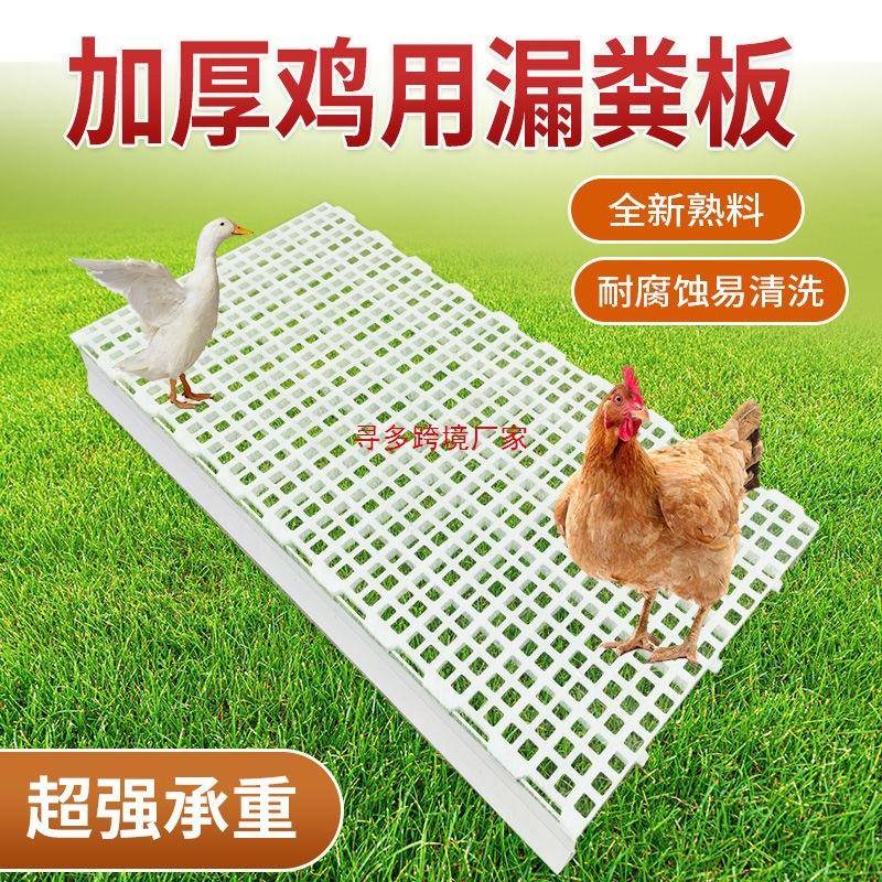 鸡粪漏粪板鸭鹅漏粪网鸡舍漏屎地板养鸡用塑料家禽小鸡鸽子漏粪板