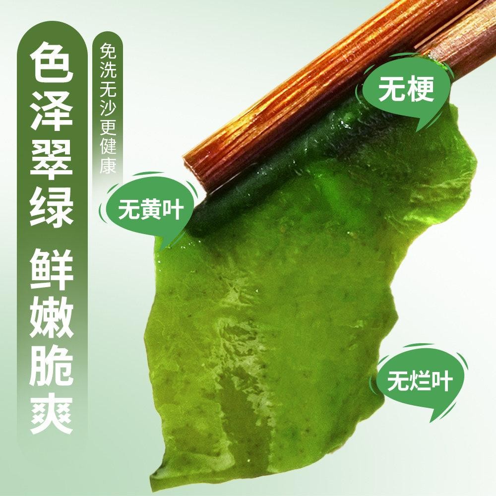 高钙裙带菜干燥裙带菜丝免洗海藻丝海带鲜嫩X