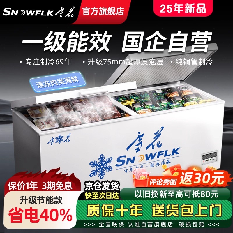 【国企旗舰店】冰柜商用冷冻柜