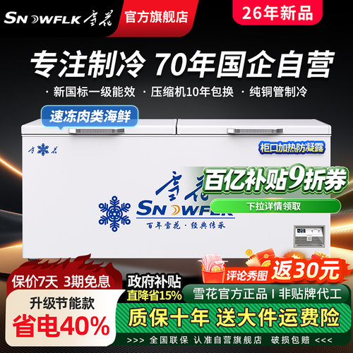 【70年国企雪花】大容量商用冰柜