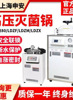 上海DSX-18L/LDZX-30/50L实验室灭菌器高压消毒锅压力灭菌锅