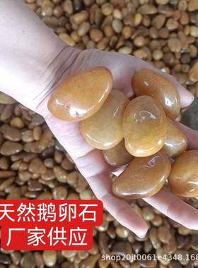 精抛黄色鹅卵石厂家直发园林景观工程鹅卵石造景铺路石水洗石黄