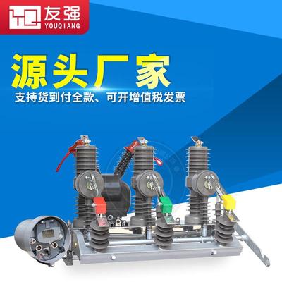 10KV户外高压真空断路器ZW32-12/630A柱上开关不锈钢带看门狗智能