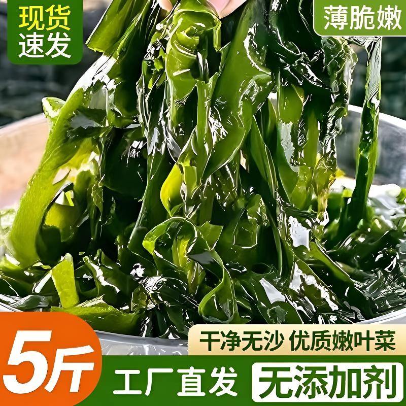 精品盐渍裙带菜正宗少盐多菜/含箱5斤/净重4.6斤