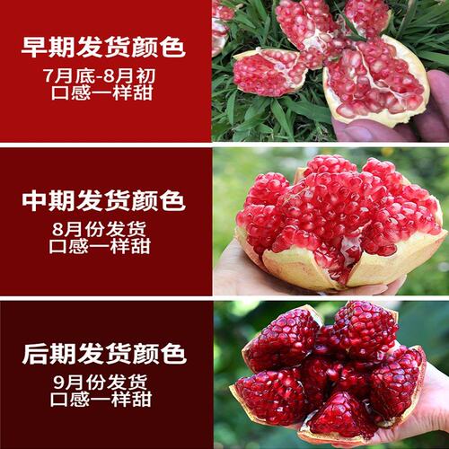 【自然搭档】四川会理软籽石榴3斤/4.5斤新鲜水果石榴甜蜜多汁