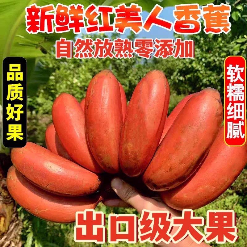 ［稀有香蕉］广西红美人香蕉红皮自带兰花香软糯香甜应季新鲜水果