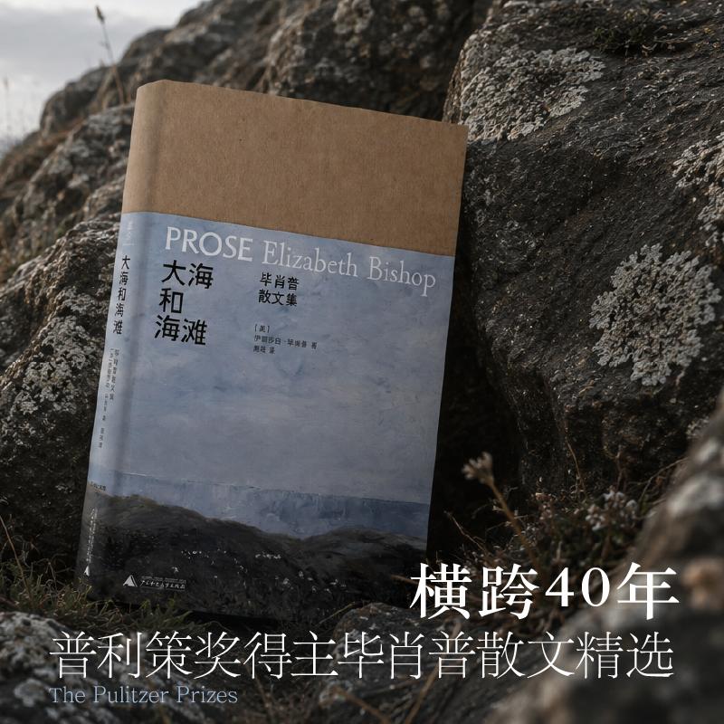 【可开票全新正版】文学纪念碑大海和海滩毕肖普散文集 诗人如何写散文成为“诗人中的诗人”之前她只是长久地观看世界广西师范大